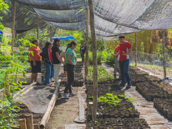 Die Baumschule dient sowohl als Zuchtort für 5’000 Baumsetzlinge als auch als Ausbildungsort.